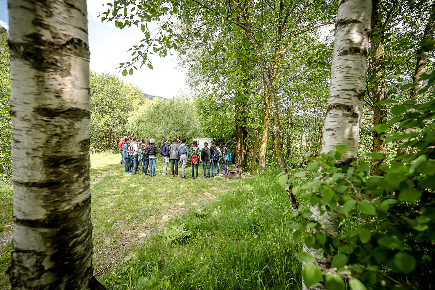 Schüler erhalten an Infotafeln auf dem Aquasela-Lehrpfad Infos zum Ökosystem