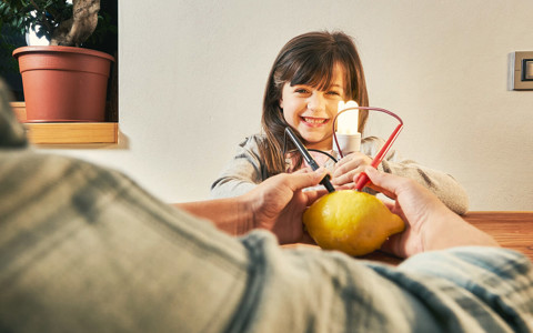 Esperimento Elettricità dal limone